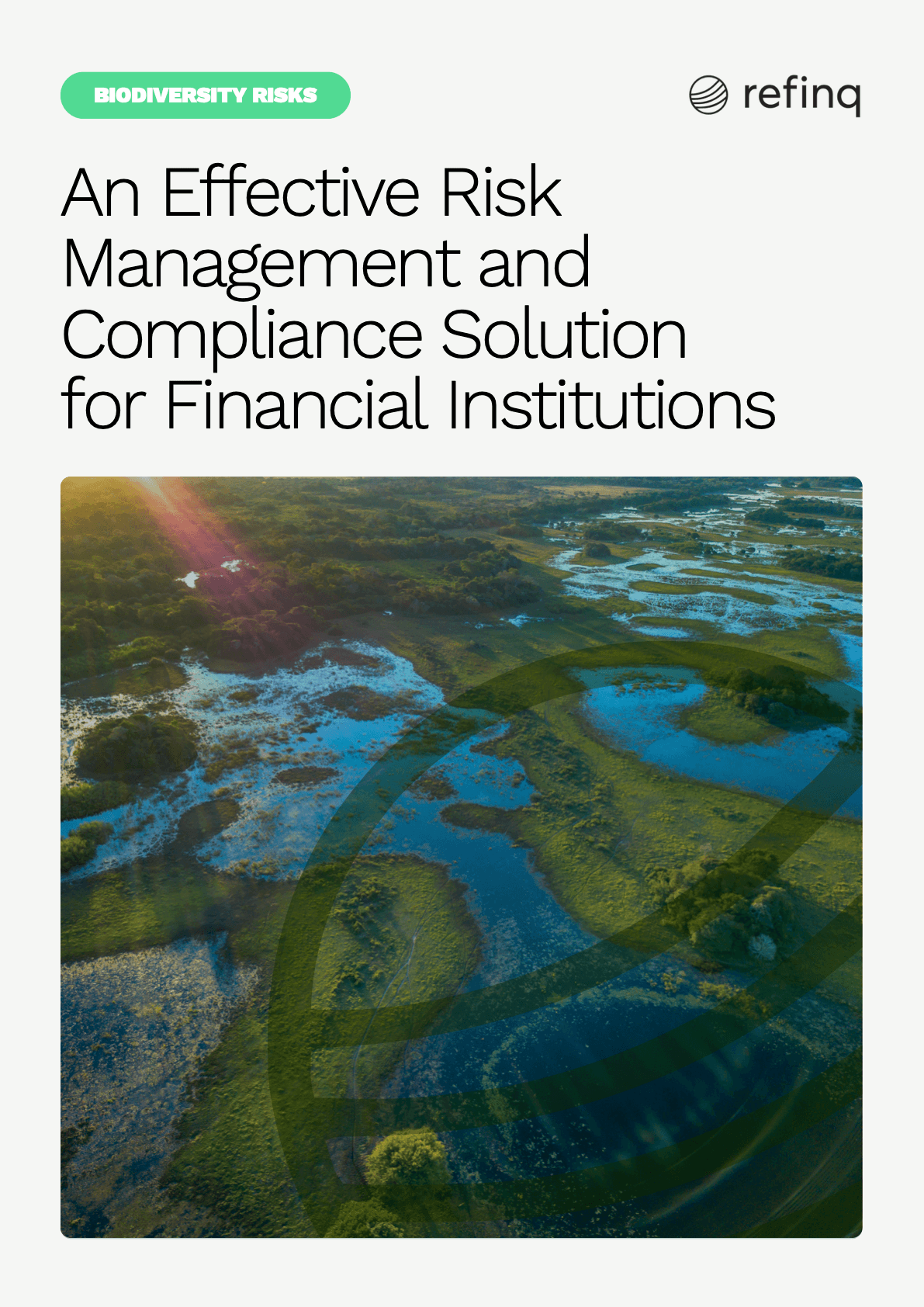 Refinq_Whitepaper_An Effective Risk Management and Compliance Solution for Financial Institutions_20112024.png